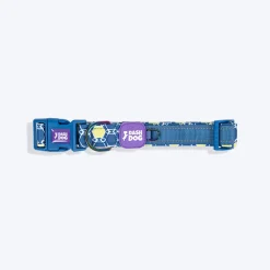 Dash Dog Wildcrest Padded Collar For Dog - Blue & Neon Green