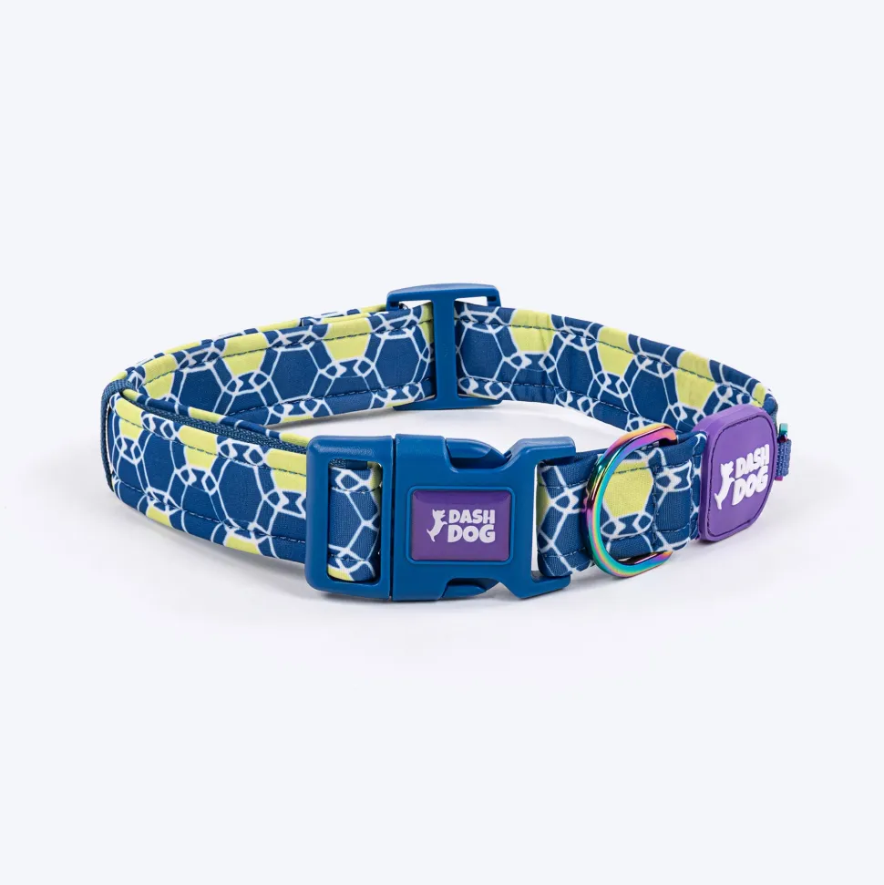 Dash Dog Wildcrest Padded Collar For Dog - Blue & Neon Green