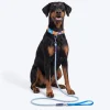 Dash Dog Zoom Easy Leash For Dog - Blue