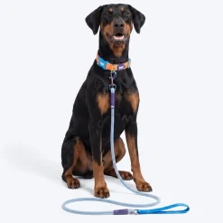 Dash Dog Zoom Easy Leash For Dog - Blue