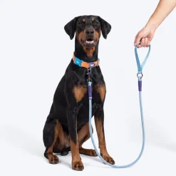 Dash Dog Zoom Easy Leash For Dog - Blue