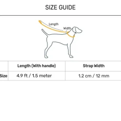 Dash Dog Zoom Easy Leash For Dog - Blue