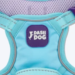 Dash Dog Zoom Walk Along Harness - Aqua Blue & Lavender