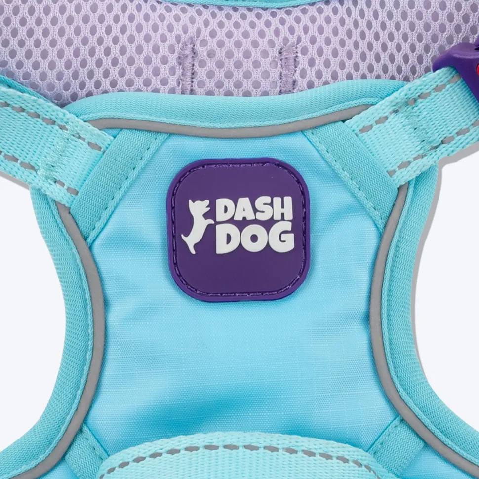 Dash Dog Zoom Walk Along Harness - Aqua Blue & Lavender