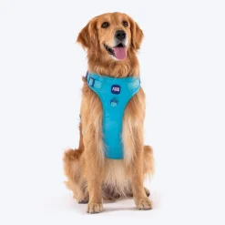 Dash Dog Zoom Walk Along Harness - Aqua Blue & Lavender