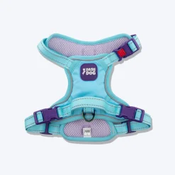 Dash Dog Zoom Walk Along Harness - Aqua Blue & Lavender