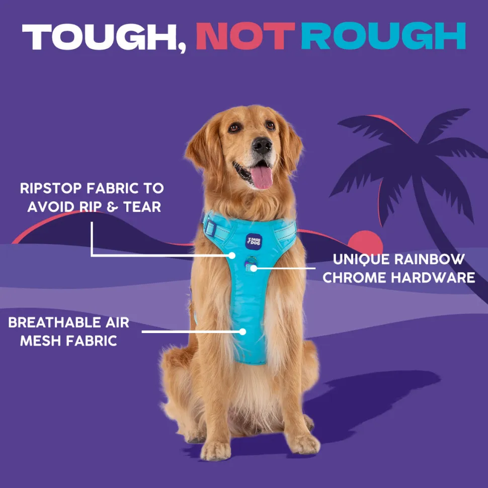 Dash Dog Zoom Walk Along Harness - Aqua Blue & Lavender