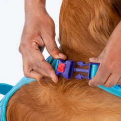 Dash Dog Zoom Walk Along Harness - Aqua Blue & Lavender