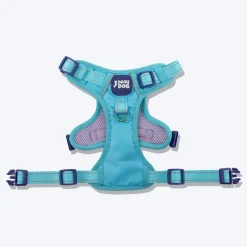 Dash Dog Zoom Walk Along Harness - Aqua Blue & Lavender