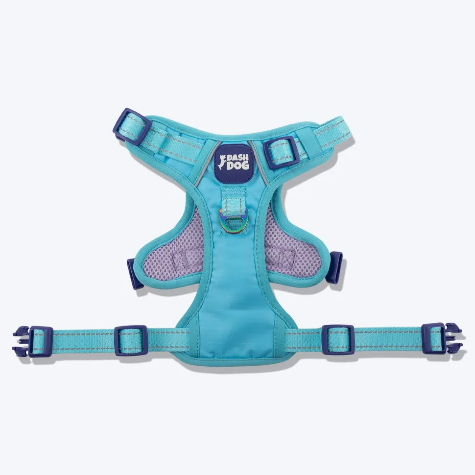 Dash Dog Zoom Walk Along Harness - Aqua Blue & Lavender