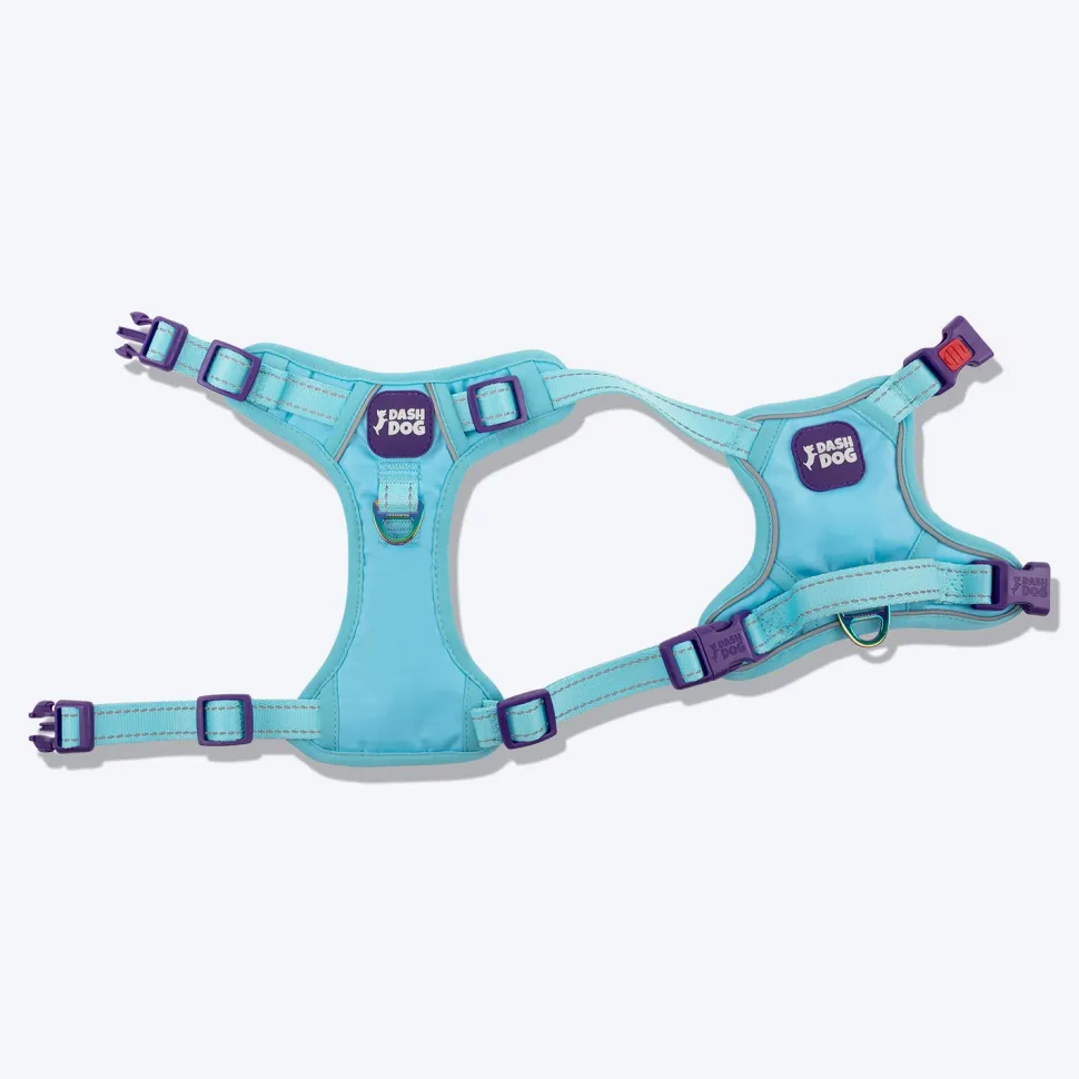 Dash Dog Zoom Walk Along Harness - Aqua Blue & Lavender
