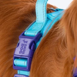 Dash Dog Zoom Walk Along Harness - Aqua Blue & Lavender