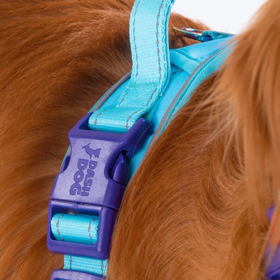 Dash Dog Zoom Walk Along Harness - Aqua Blue & Lavender