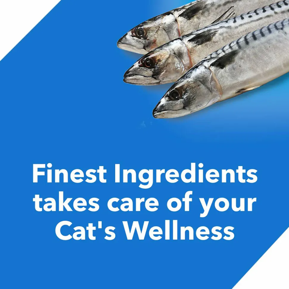 Drools Adult (+1 Year) Ocean Fish Dry Cat Food