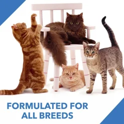 Drools Adult (+1 Year) Ocean Fish Dry Cat Food