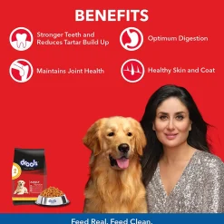 Drools Chicken and Egg Adult Dry Dog Food