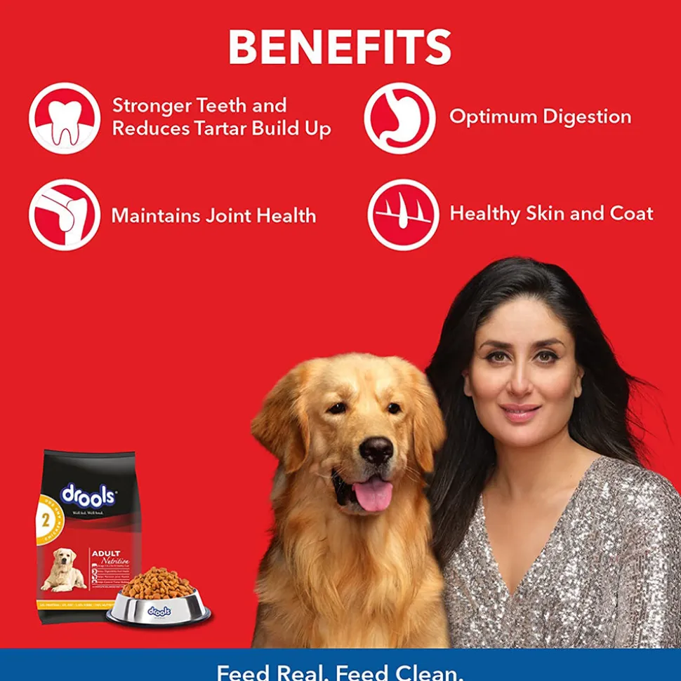 Drools Chicken and Egg Adult Dry Dog Food
