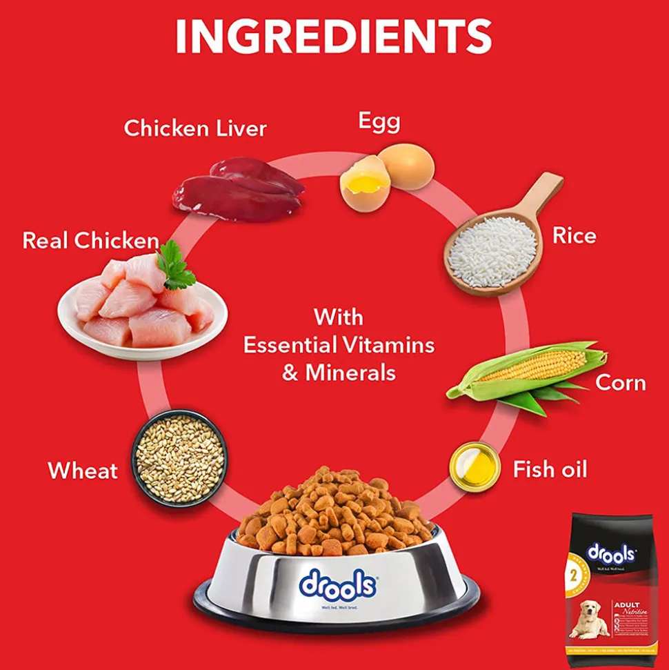 Drools Chicken and Egg Adult Dry Dog Food