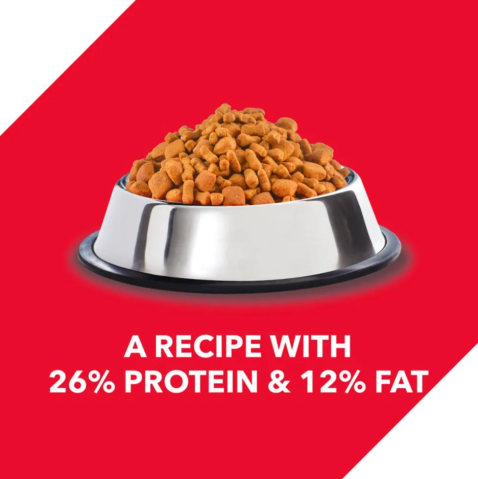 Drools Chicken and Egg Dry Food For Puppy