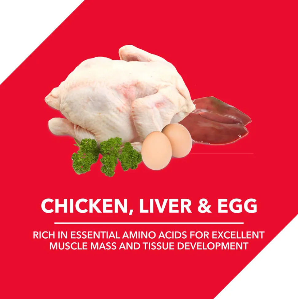 Drools Chicken and Egg Dry Food For Puppy