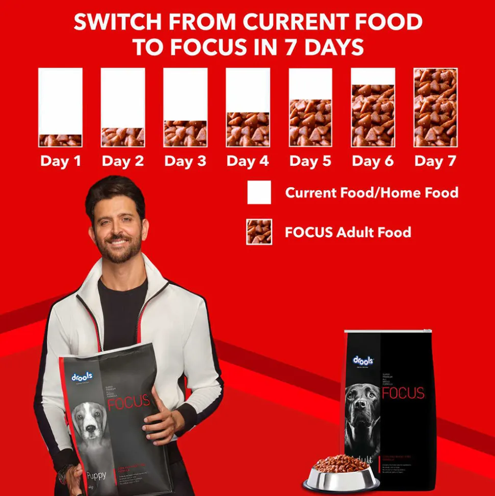 Drools Focus Adult Super Premium Dry Dog Food