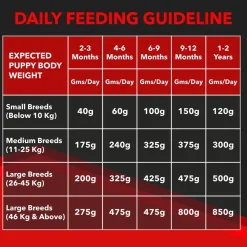 Drools Focus Puppy Super Premium Dry Puppy Food