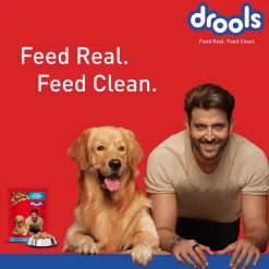 Drools Real Chicken and Chicken Liver Chunks in Gravy Wet Food For Adult Dog - 150 g