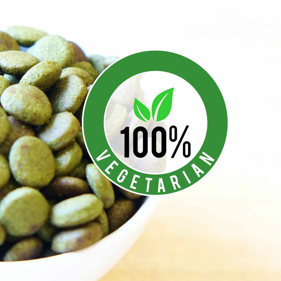 Drools 100% Vegetarian Dry Food For All Life Stages Dog