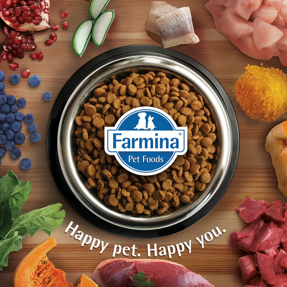 Farmina N&D Quinoa Weight Management Grain Free Cat Dry Food - Lamb, Broccoli & Asparagus