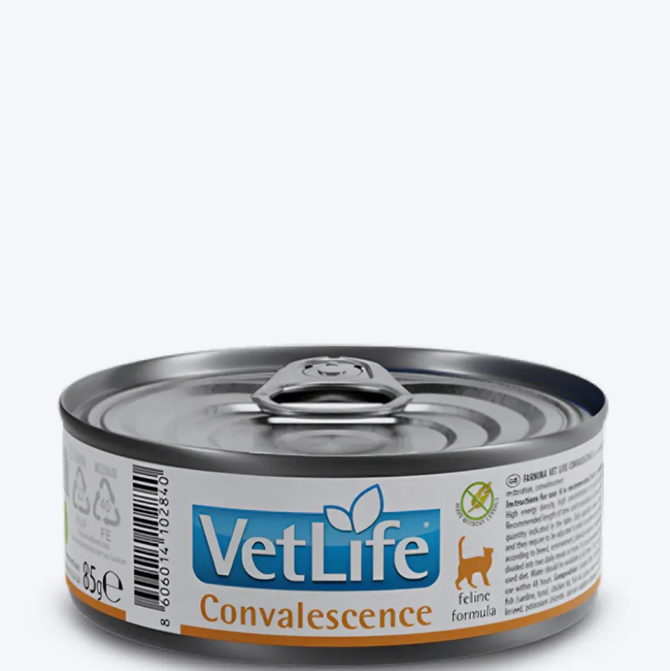 Farmina Vet Life Convalescence Feline Formula Wet Food For Cat - 85 gm
