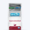 Farmina Vet Life Gastrointestinal Feline Formula Dry Food For Cat - 2 kg