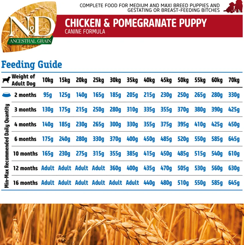 Farmina N&D Ancestral Grain Medium & Maxi Breed Dry Puppy Food - Chicken & Pomegranate