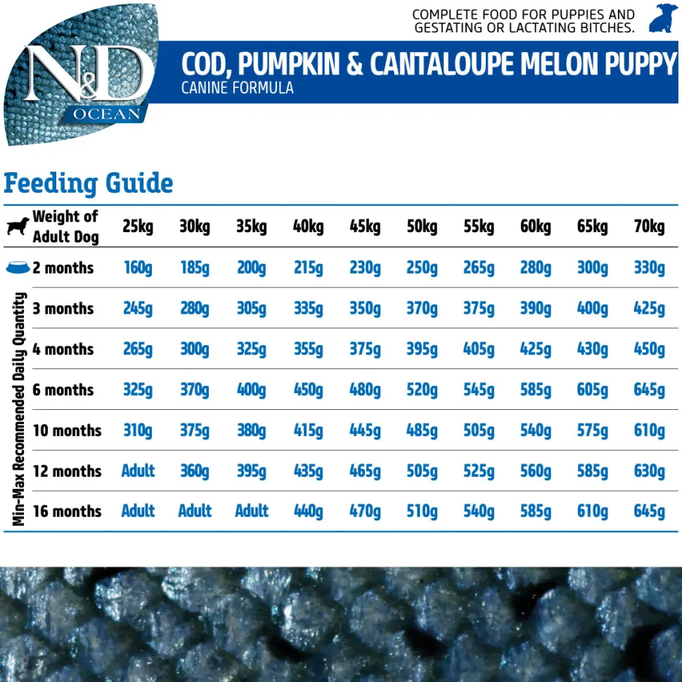 Farmina N&D Ocean COD Pumpkin& Cantaloupe Melon Grain Free Mini Breed Dry Puppy Food