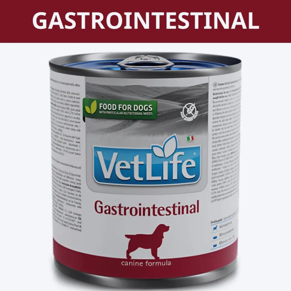 Farmina Vet Life Gastrointestinal Canine Formula Dog Wet Food - 300 g