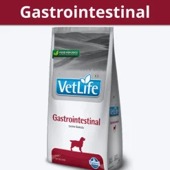 Farmina Vet Life Gastrointestinal Canine Formula Rice & Chicken Dry Food For Adult Dog