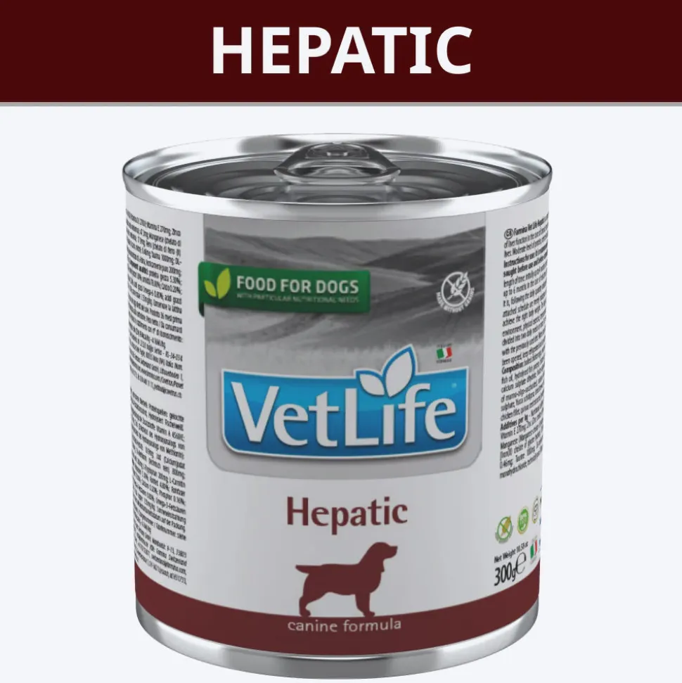 Farmina Vet Life Hepatic Canine Formula Wet Food For Dog - 300 gm