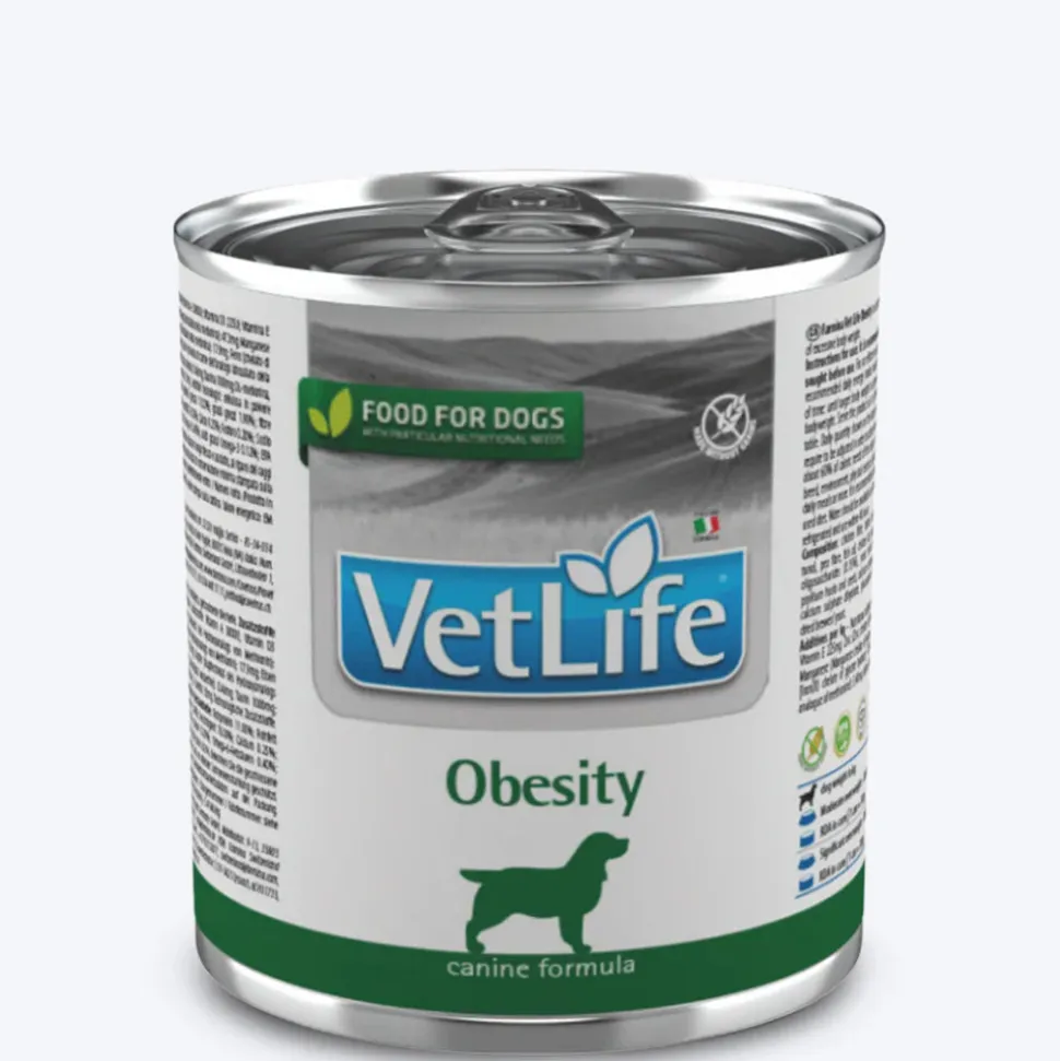Farmina Vet Life Obesity Wet Food For Dog - 300 gm