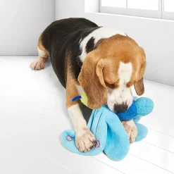 FOFOS Jumbo Butterfly Plush Toy For Dog - Blue