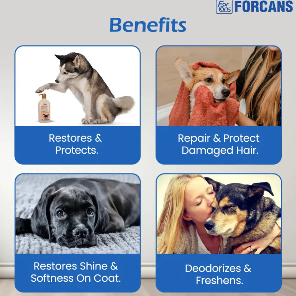 Forcans Short Coat Aloe Shampoo For Dog