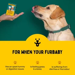Furlicks Gut Health Mixed Berry Oral Supplement For Cat & Dog - 45g (30 Strips)