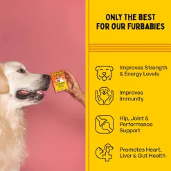 Furlicks Multivitamin Strawberry Oral Supplement For Cat and Dog - 45g (30 Strips)