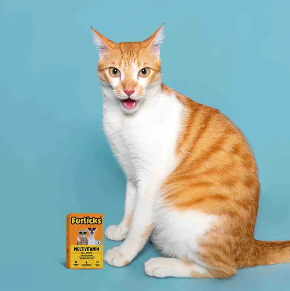 Furlicks Multivitamin Strawberry Oral Supplement For Cat and Dog - 45g (30 Strips)