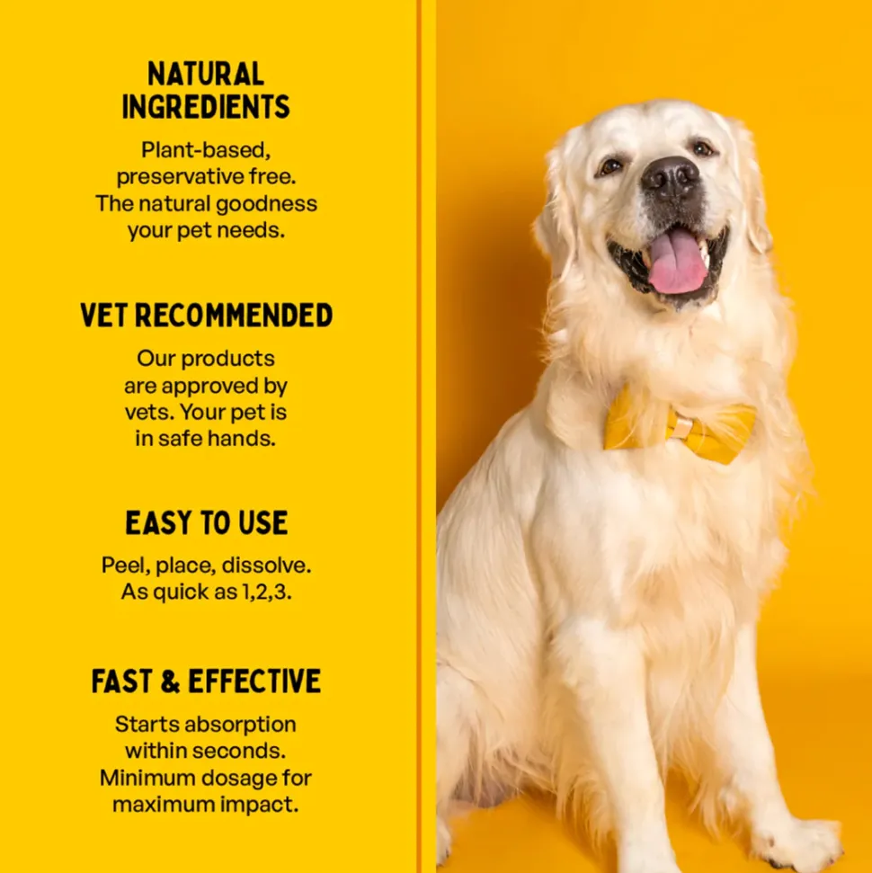 Furlicks Skin & Coat Maple Syrup Oral Supplement For Cat & Dog - 45g (30 Strips)