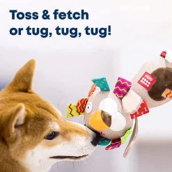 GiGwi Plush Friendz Dog Toy - Lion (with TPR Johnny Stick)