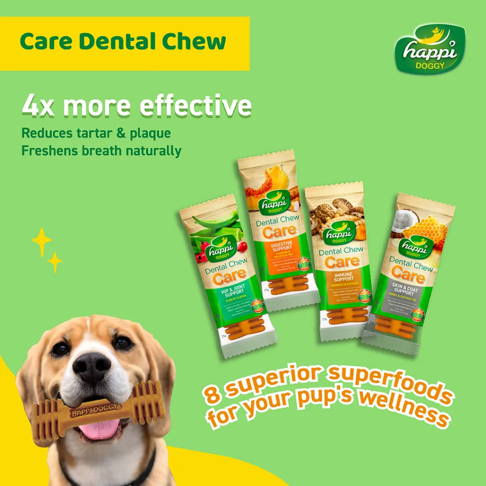 Happi Doggy Vegetarian Dental Chew (Digestive Support) - Pumpkin & Mountain Yam (Singles) - 25 g