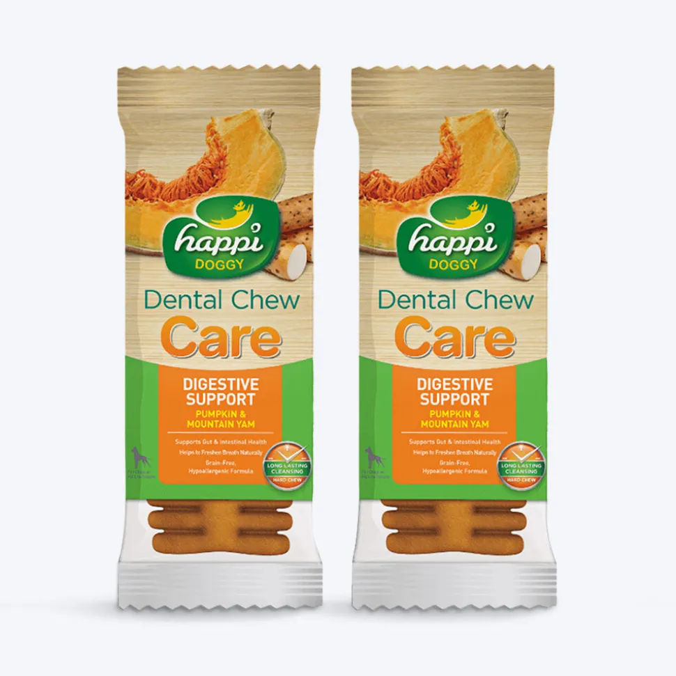 Happi Doggy Vegetarian Dental Chew (Digestive Support) - Pumpkin & Mountain Yam (Singles) - 25 g