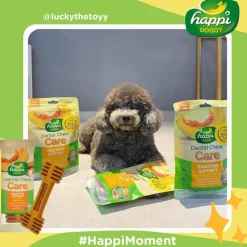 Happi Doggy Vegetarian Dental Chew (Digestive Support) - Pumpkin & Mountain Yam (Singles) - 25 g