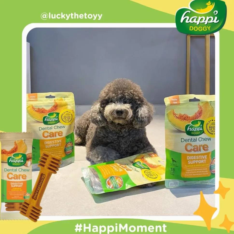 Happi Doggy Vegetarian Dental Chew (Digestive Support) - Pumpkin & Mountain Yam (Singles) - 25 g