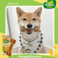 Happi Doggy Vegetarian Dental Chew (Digestive Support) - Pumpkin & Mountain Yam (Singles) - 25 g