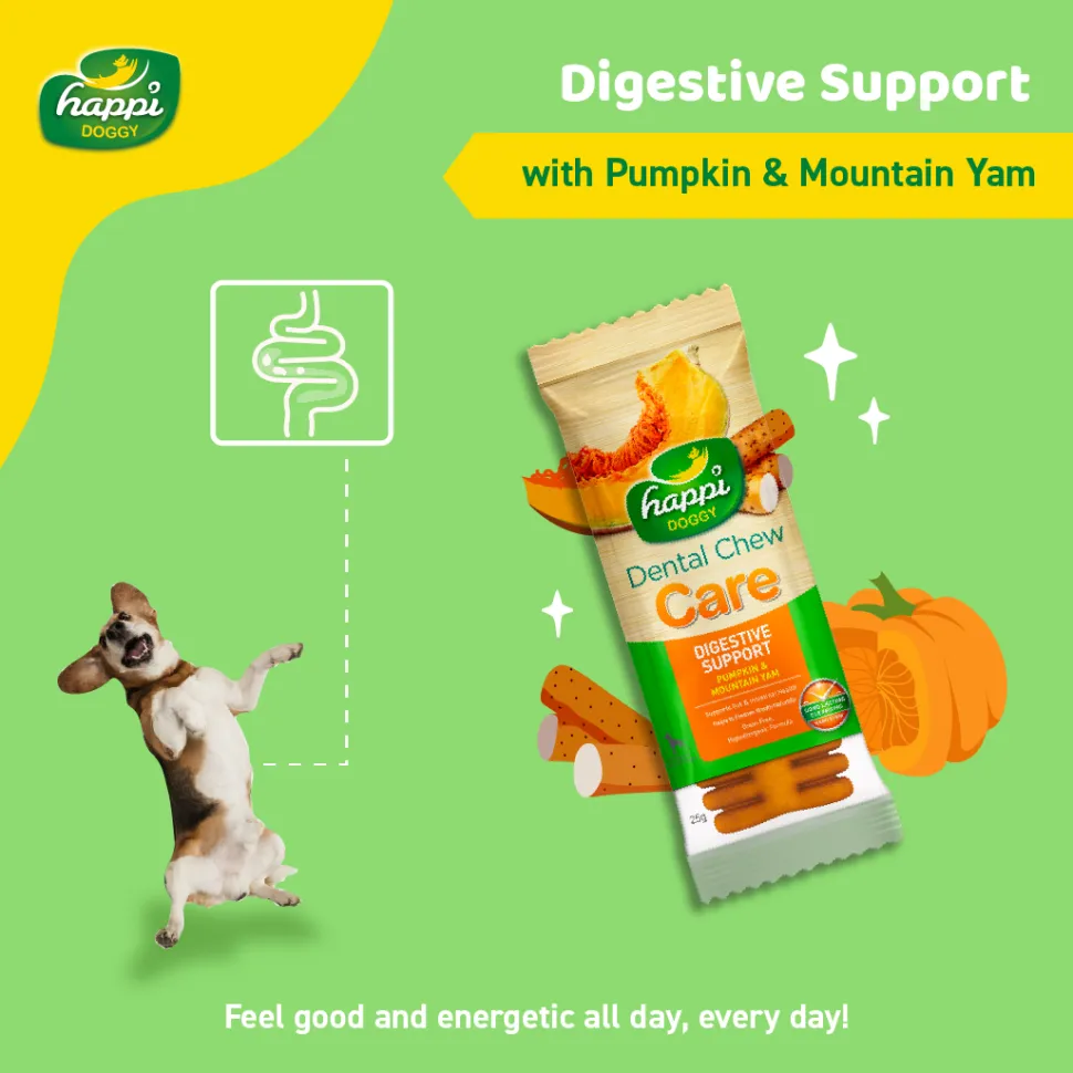 Happi Doggy Vegetarian Dental Chew (Digestive Support) - Pumpkin & Mountain Yam (Singles) - 25 g